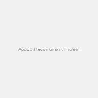 ApoE3 Recombinant Protein